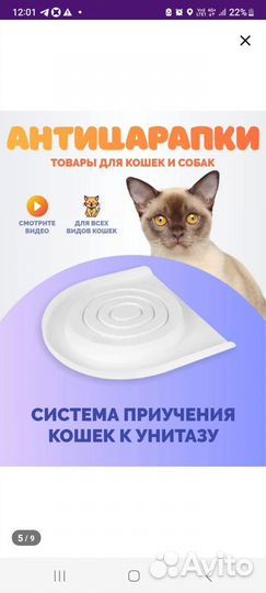Приучение к унитазу