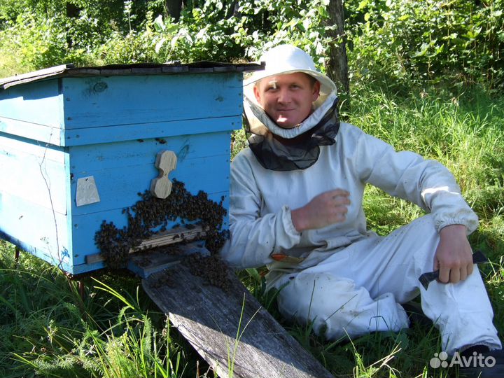 Липовый мед