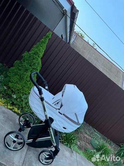 Коляска адамекс шанталь 2 в 1