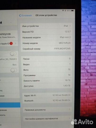 iPad mini 2 + стекло + стилус
