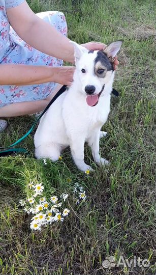 Не пройдите мимо