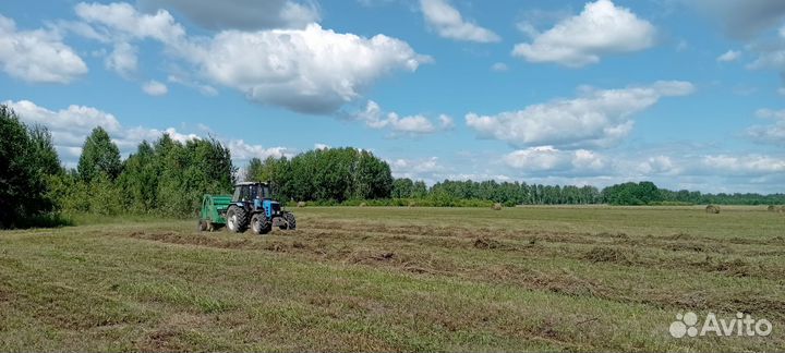 Сено, рулоны по 300 кг. свежий укос 24 г