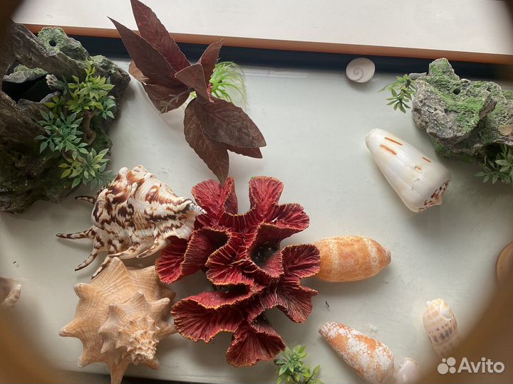 Аквариум для не больших рыбок