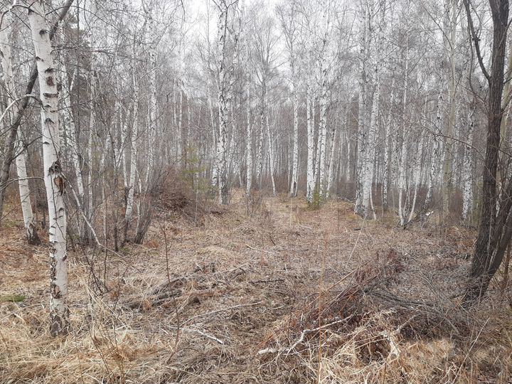 Участок 8,9 сот. (ИЖС)