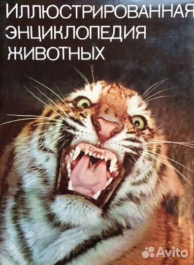 Иллюстрированные энциклопедии животных, рыб и птиц