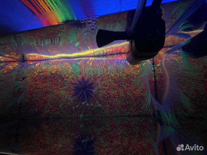 Аквариум, полный набор