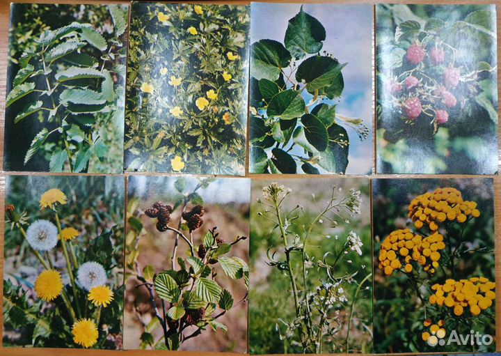 Набор открыток СССР 