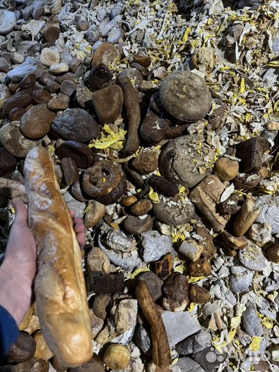 Хлебные отходы корм