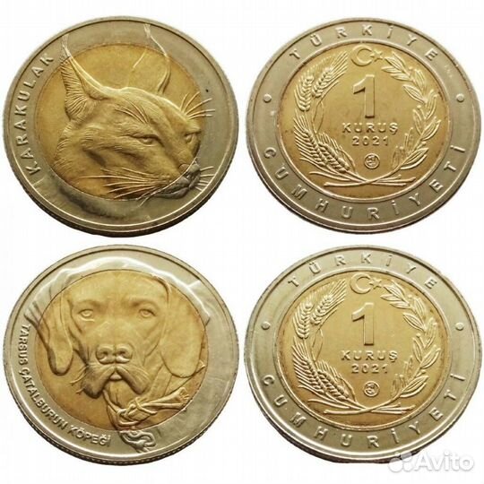 Монеты Красная Книга Турции, Животные