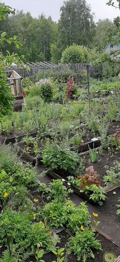 Дача 35 м² на участке 12 сот.