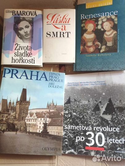 Чешский язык книги