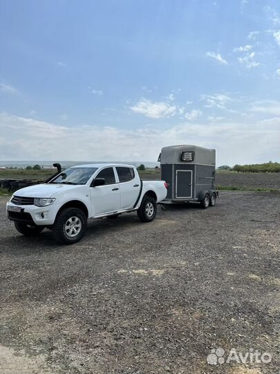 Перевозка лошадей