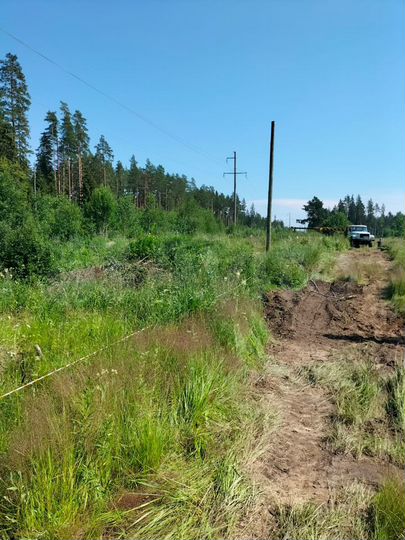 Участок 10 сот. (СНТ, ДНП)