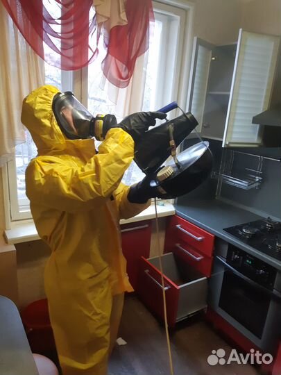 Дезинфекция