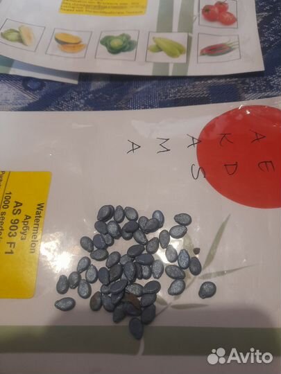 Продам арбузные семена