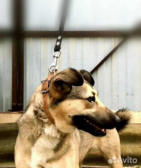 Черешня верит в доброту ждёт тебя