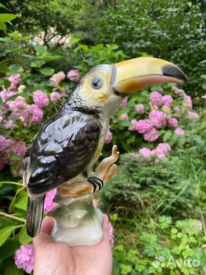 21 см туканы