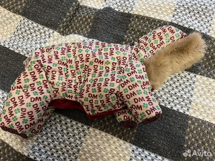 Одежда для собак