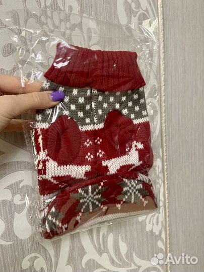 Одежда для собак мелких пород