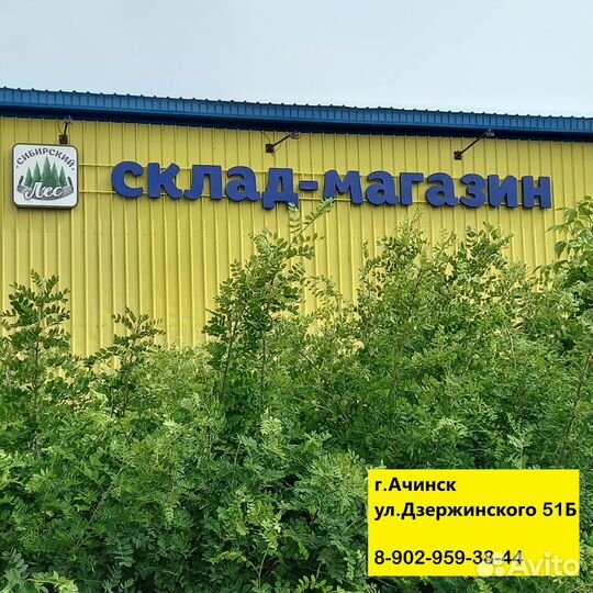 Полок. липа