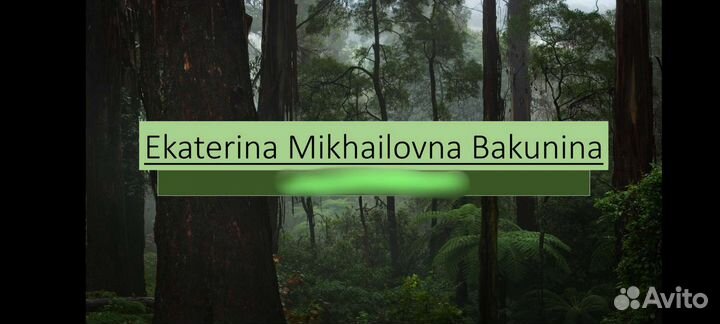 Екатерина Бакунина Презентация Английский/История