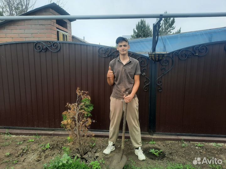 Уборка участка/Спил деревьев/Разнорабочие/Демонтаж