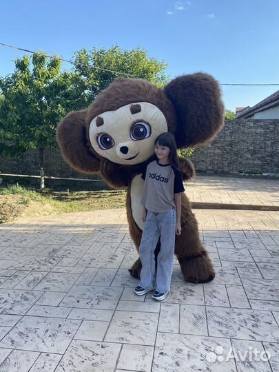 Аниматор/ поздравление от Ушастика