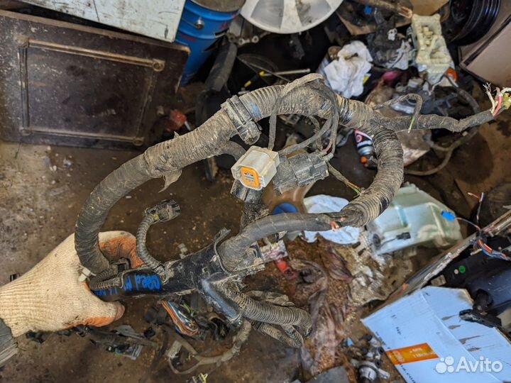 Проводка моторная кия сиид 2014г 1,6 АКПП