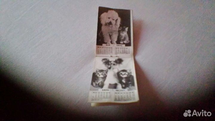 Фотокалендарь с котятами 1986 год