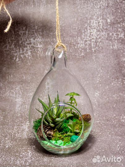 Флорариум. Мини лес