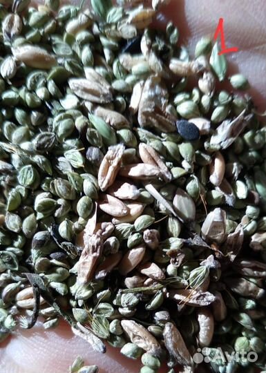 Зерновая смесь