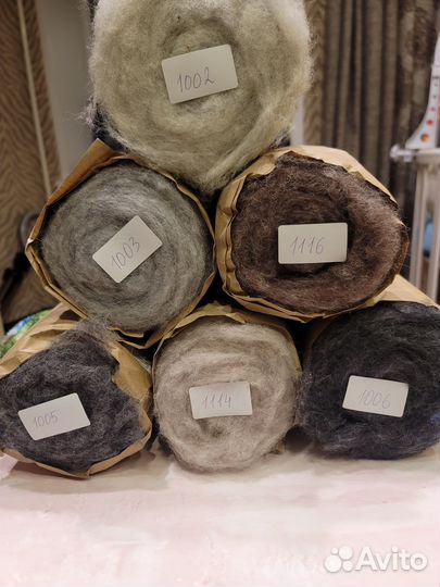 Шерсть кардочес Латвия