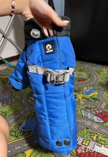 Комбинезон для маленькой собаки мальчик р М