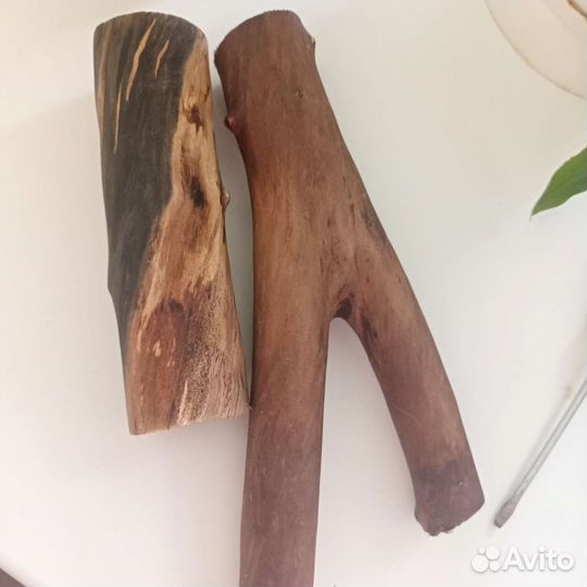 Коряги для аквариума