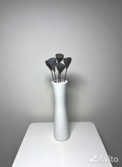 Лотос сухоцвет на ножке. Разные размеры