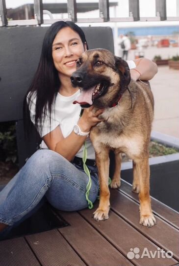 Кинолог зоопсихолог