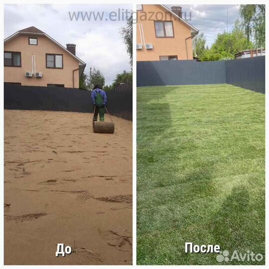 Рулонный газон, укладка, продажа