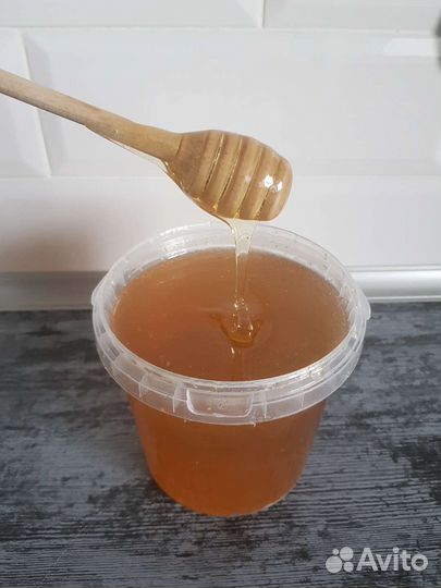 Мёд майский и цветочный дегустация