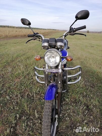 Мопед Motoland Alpha RX 11 (Альфа) (ZS50-A)