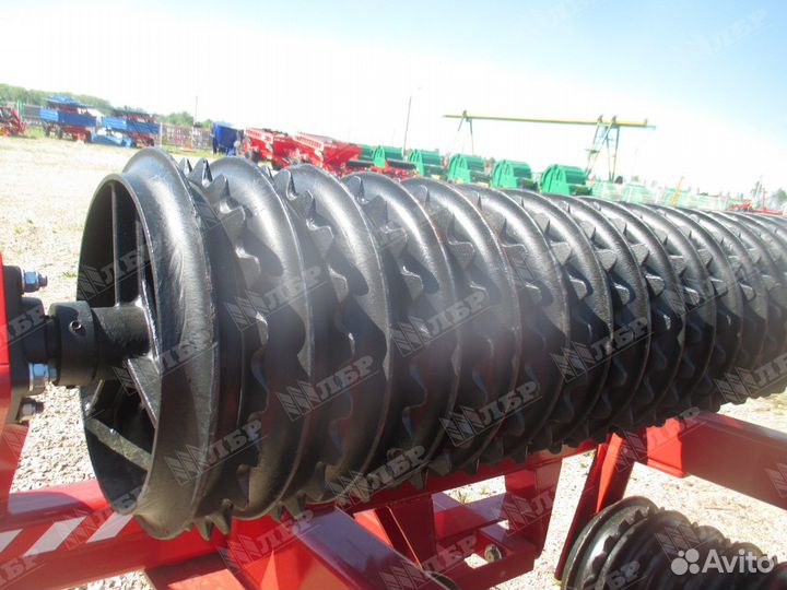 Каток Expom Jacek, 2023