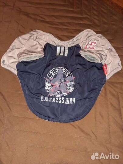 Комбинезон для маленькой собаки зима