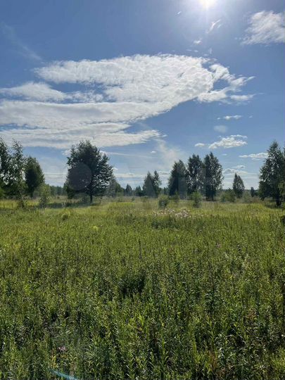 Участок 15 сот. (ИЖС)