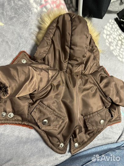 Одежда для собак