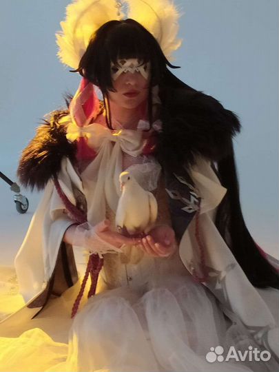 Голуби белые летные и декоративные