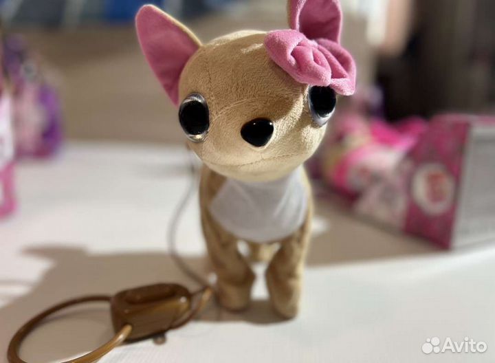 Собачка чичилав chi chi love