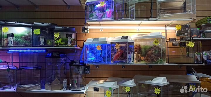 Аквариум для рыбок - большой выбор
