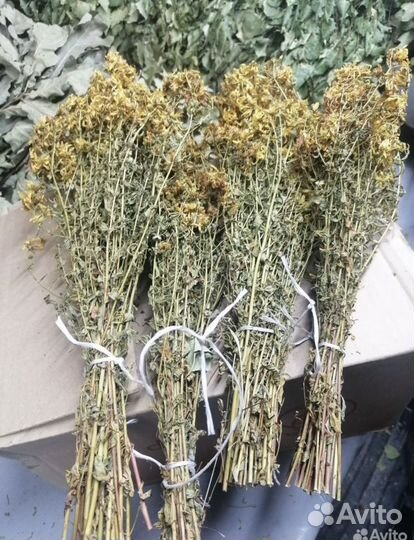 Лекарственные травы