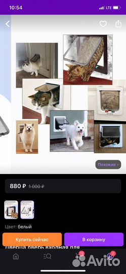 Дверь для кошек и мелких пород собак