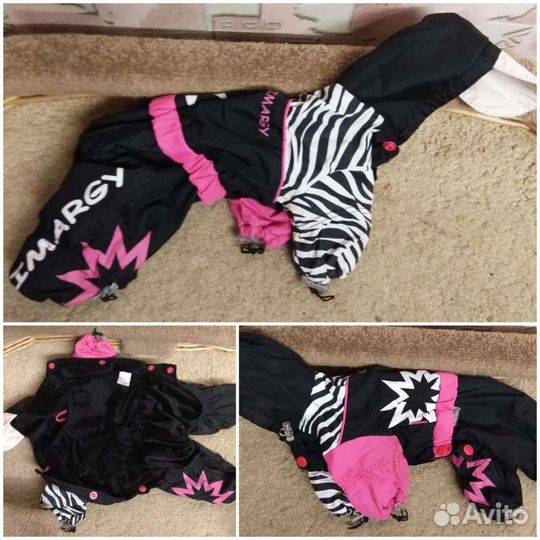 Вещи для небольшой собаки