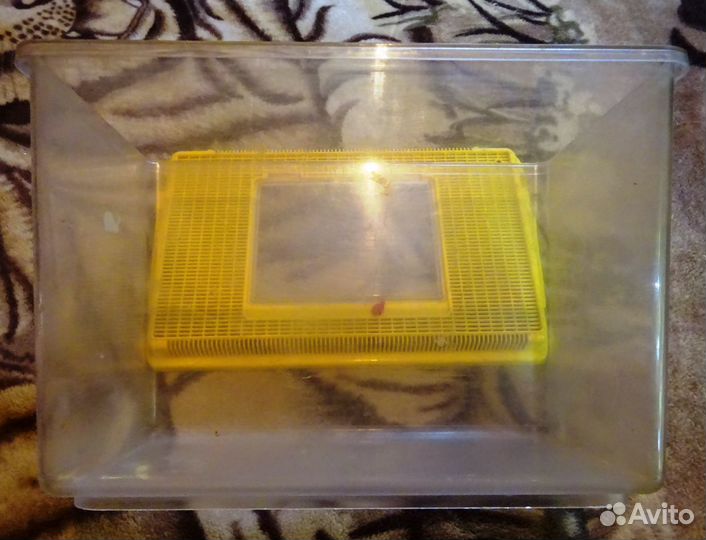 Террариум,аквариумы